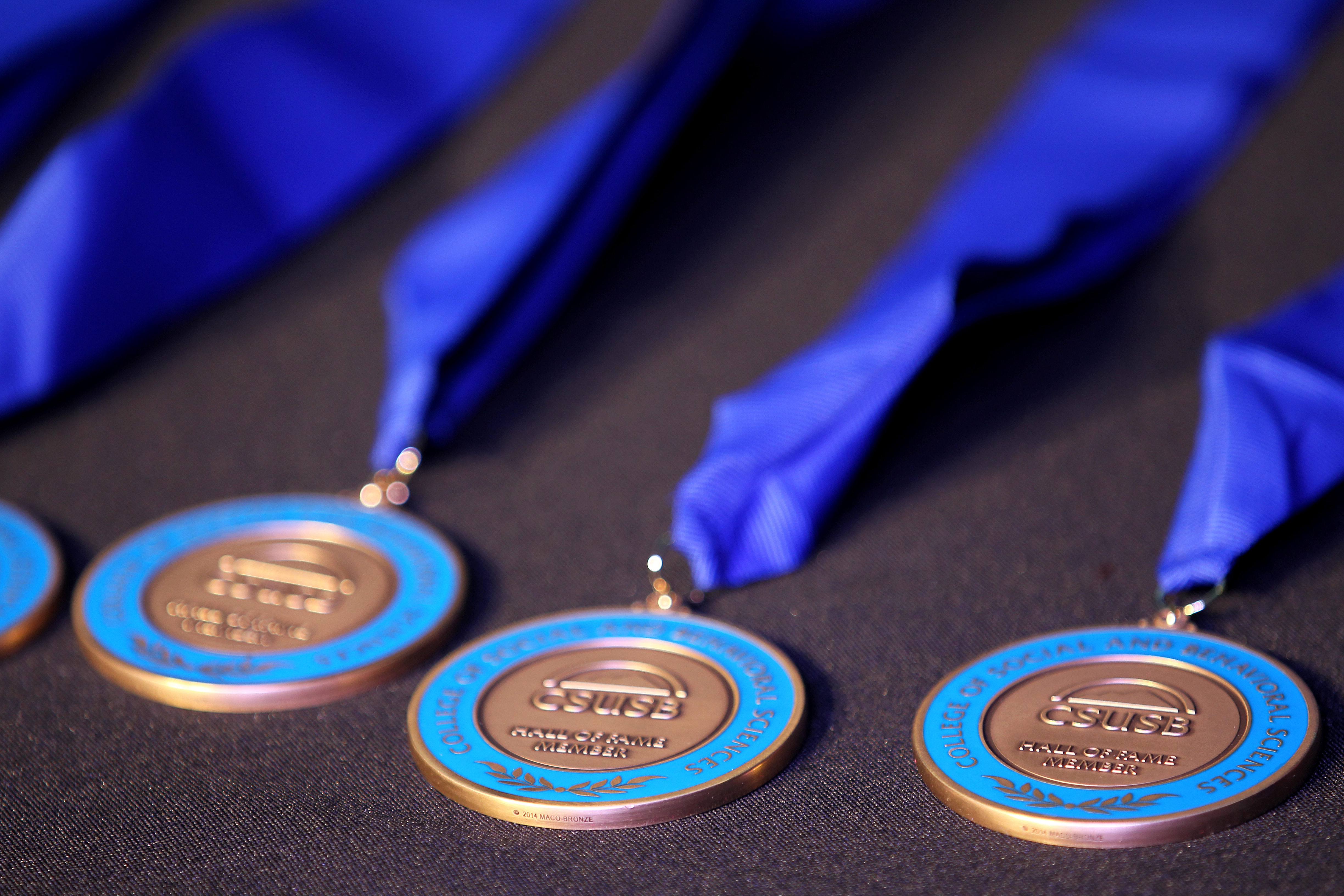 Hall of Fame Medals